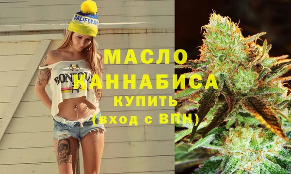 хмурый Пересвет