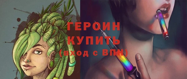 хмурый Пересвет