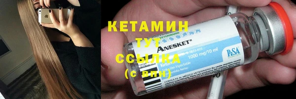 хмурый Пересвет