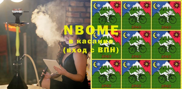 хмурый Пересвет