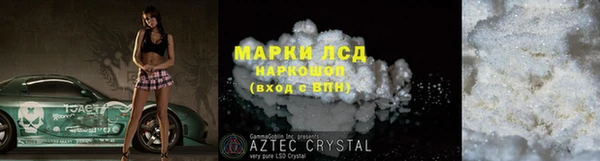 хмурый Пересвет