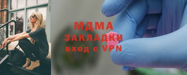 хмурый Пересвет