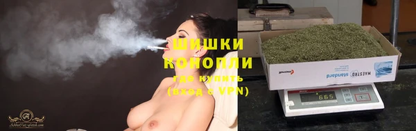 хмурый Осинники