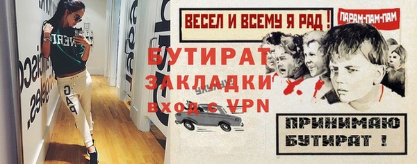 хмурый Пересвет
