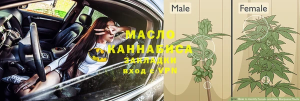 хмурый Пересвет