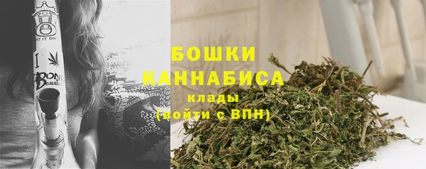 хмурый Пересвет
