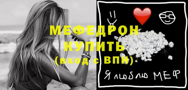хмурый Пересвет