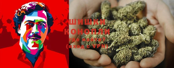 хмурый Пересвет